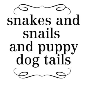 Three Designing Women Mix and Match Baby Snails Stamp