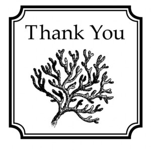 Three Designing Women Mix and Match Salutations Coral Thank You