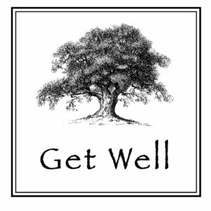 Three Designing Women Mix Match Salutations Oak Tree