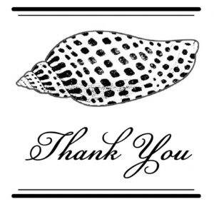 Three Designing Women Mix and Match Salutations Shell Thank You